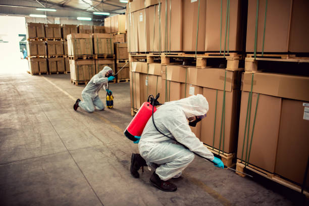 Wildlife Control Services in Orange Park, FL