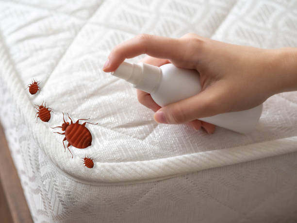 Best Pest Inspection Near Me  in Orange Park, FL