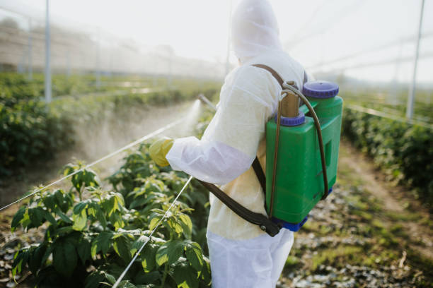 Best Pest Removal Services  in Orange Park, FL